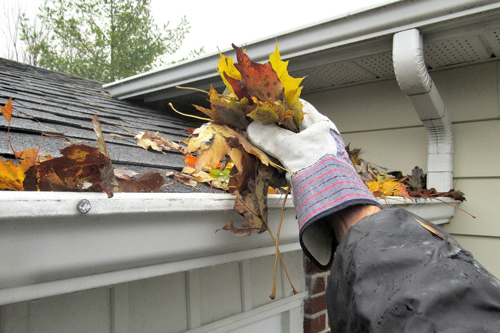 a hand reaching into a gutter to remove autumn leaves